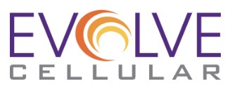 Evolve Cellular logo